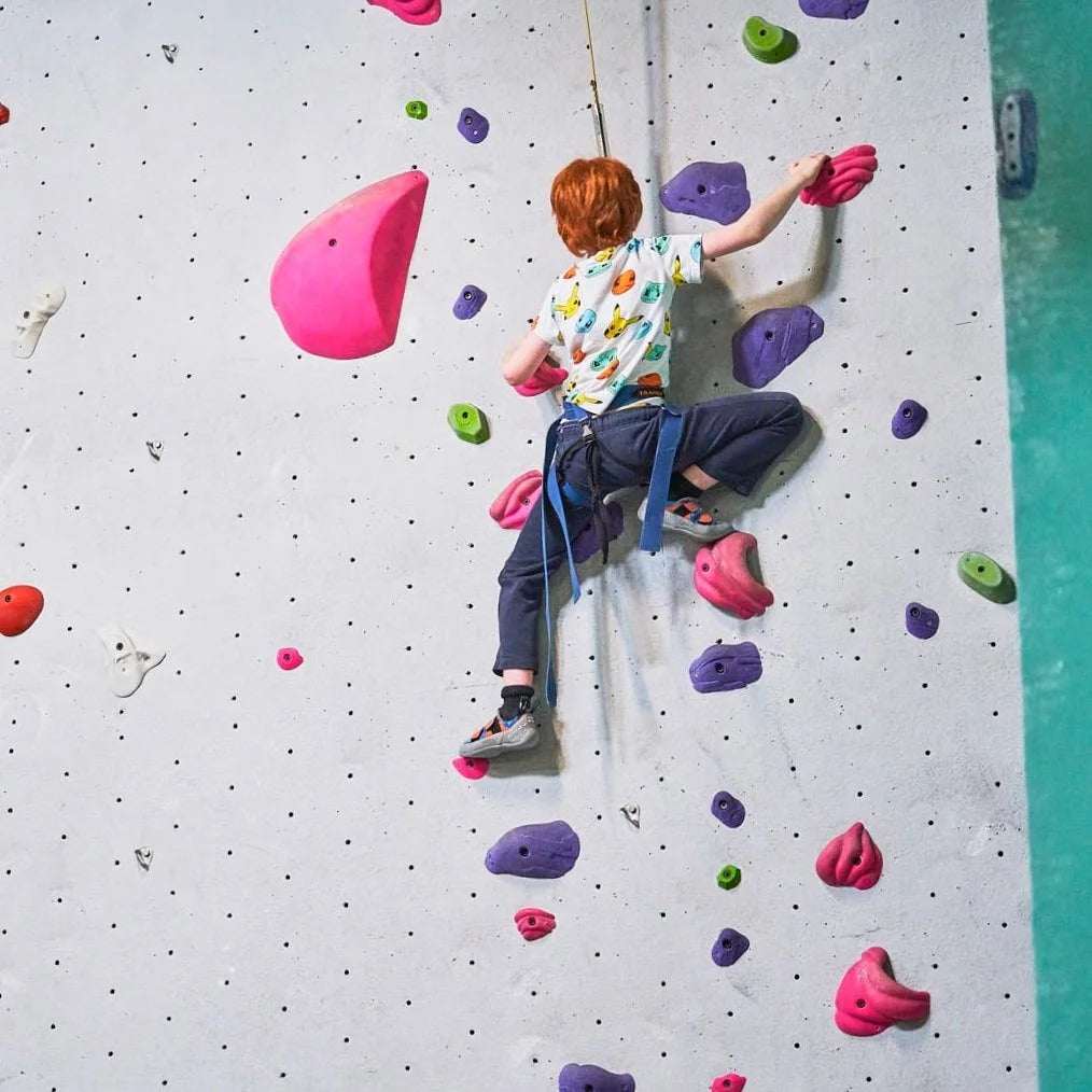 The Rock Oasis - Toronto