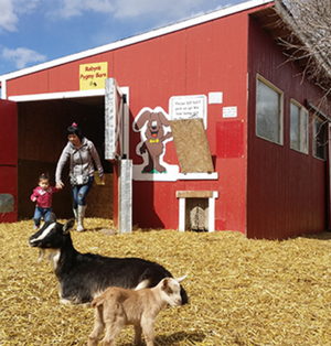 Butterfield Acres farm Kids Party Package