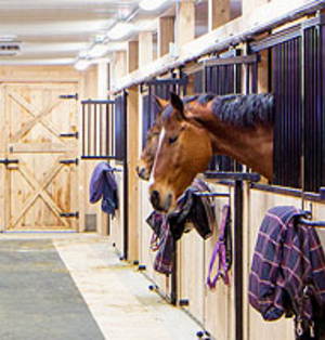 Centre Équestre Le Pré Vert - Kids Party Package