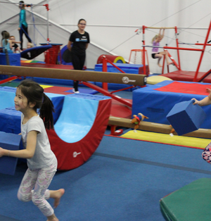 Kyle Shewfelt Gymnastics Kids Party Package