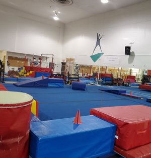 Les Asymétriques Gymnastics Club - Kids Party Package