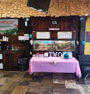 Mighty Jungle Indoor Playground