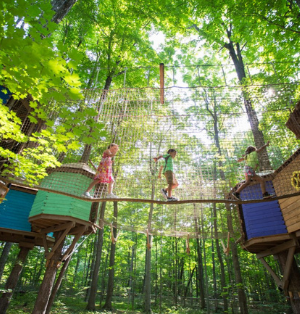 Treetop Trekking Brampton