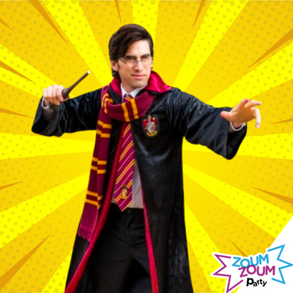 At-home Birthday Party with Harry Potter Gift (Montreal)