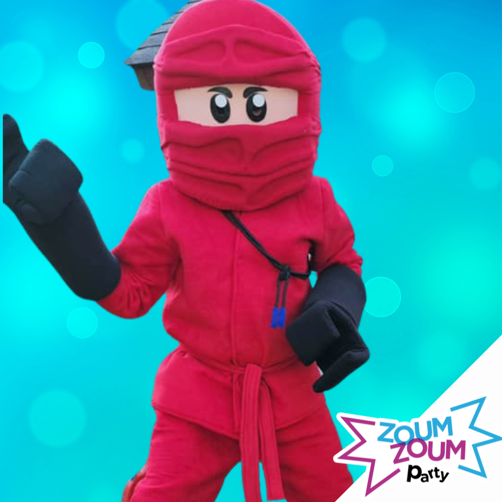 Mascot Birthday Party with Ninjago Gift (Montreal and surrounding areas)