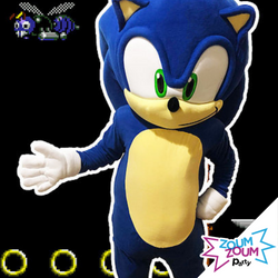 Sonic Mascot birthday party