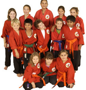 Kids party all canadian martial arts
