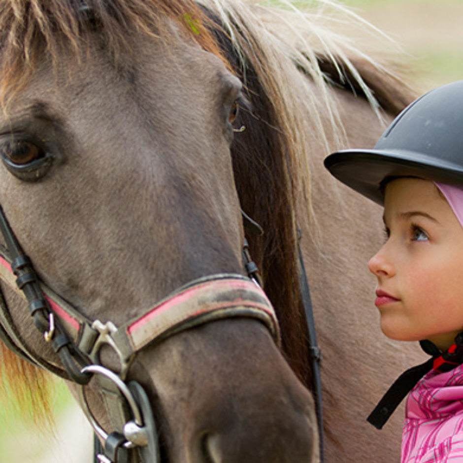 Centaur Riding School