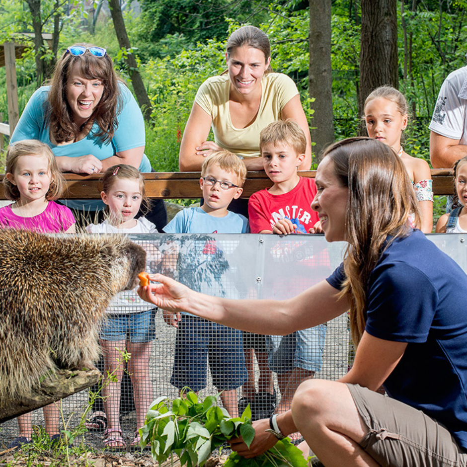 Ecomuseum Zoo - Kids Party Package