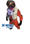 X-Wing Star Wars Pilot at-home Birthday Party