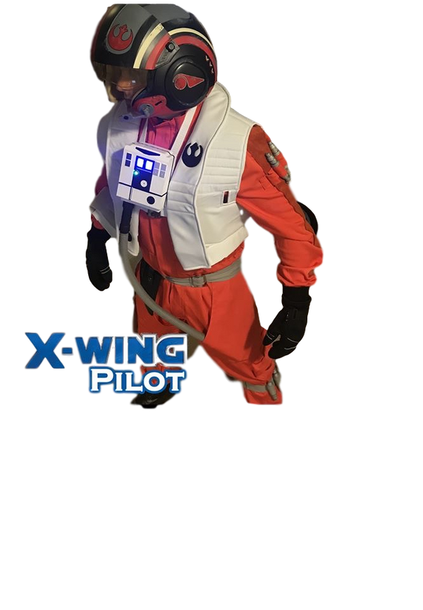 X-Wing Star Wars Pilot at-home Birthday Party
