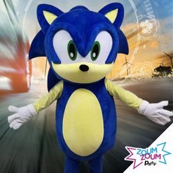 Sonic Mascot birthday party