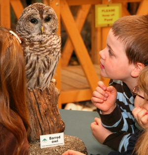 John Janzen Nature Centre