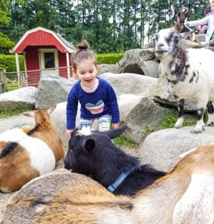Maplewood Farm