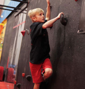 Le Crux - Climbing and Ninja Warrio