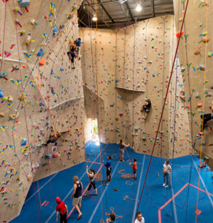 The ROCKWALL Climbing Gym