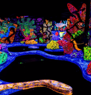 Putting Edge Montreal