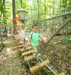 Treetop Trekking Stouffville