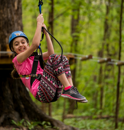 Treetop Trekking Stouffville