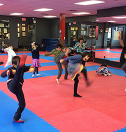 Black Belt World Oakville