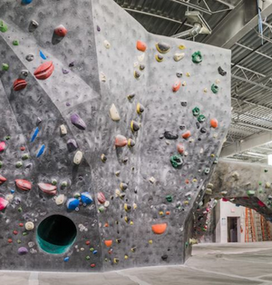 The Hive North Shore