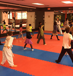 Black Belt World Burlington