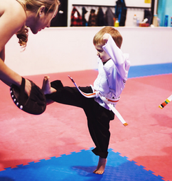 5 Elements Martial Arts Kids Party Package