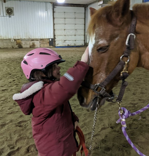Centre Équestre Le Pré Vert