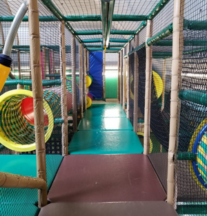 Go Bananas North Vancouver