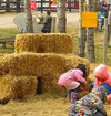 Butterfield Acres farm Kids Party Package