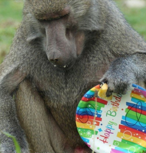 Greater Vancouver Zoo