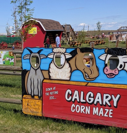 Calgary Farmyard Kids Party Package