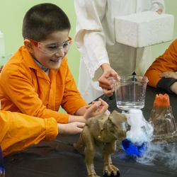 Chamelea Science Center - Toronto