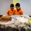 Dinosaur Adventure Party with Chamelea Science Center