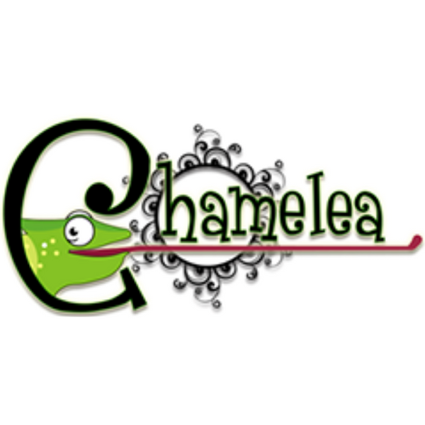 At-Home Birthday party Crime Scene Investigation CSI Chamelea